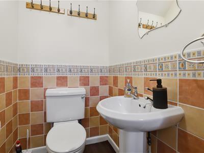 Picture 19